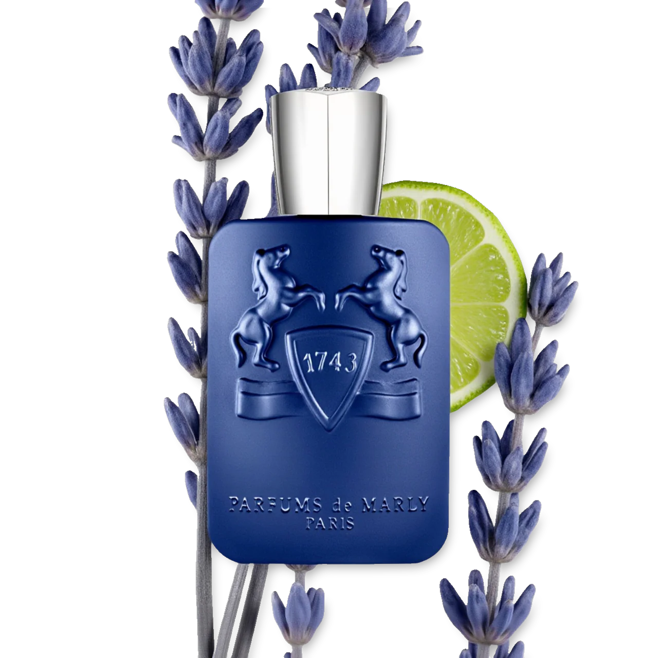 PERCIVAL - Image 5